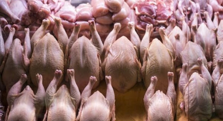 XƏBƏRDARLIQ: Toyuğu şişirdib hinduşka adı ilə camaata sırıyırlar – Sağlamlığınız TƏHLÜKƏDƏ
